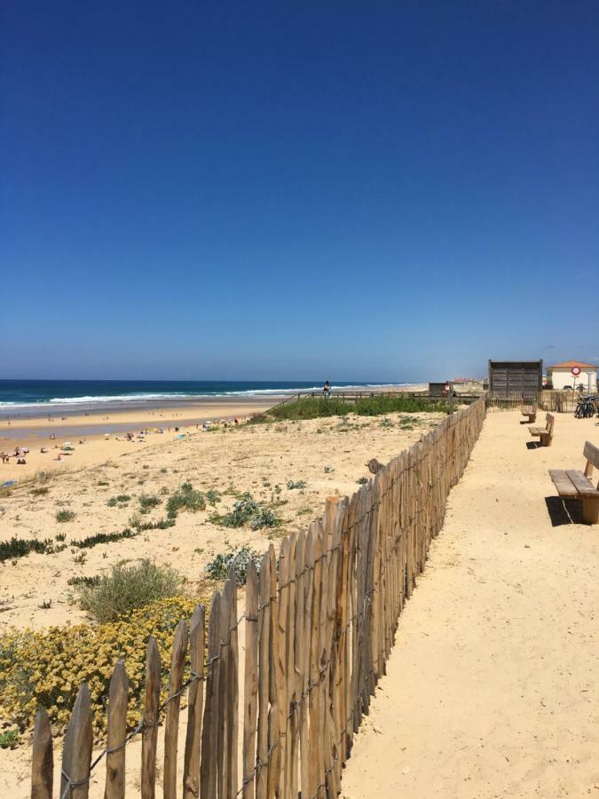 Appartement A 500 Metres De L'Ocean Mimizan-Plage Zewnętrze zdjęcie